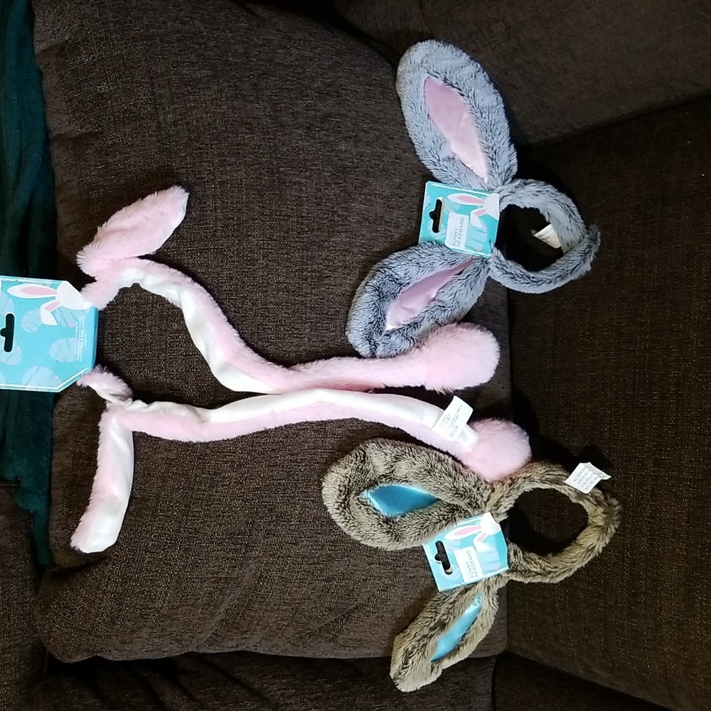 Easter Bunny Ears Set